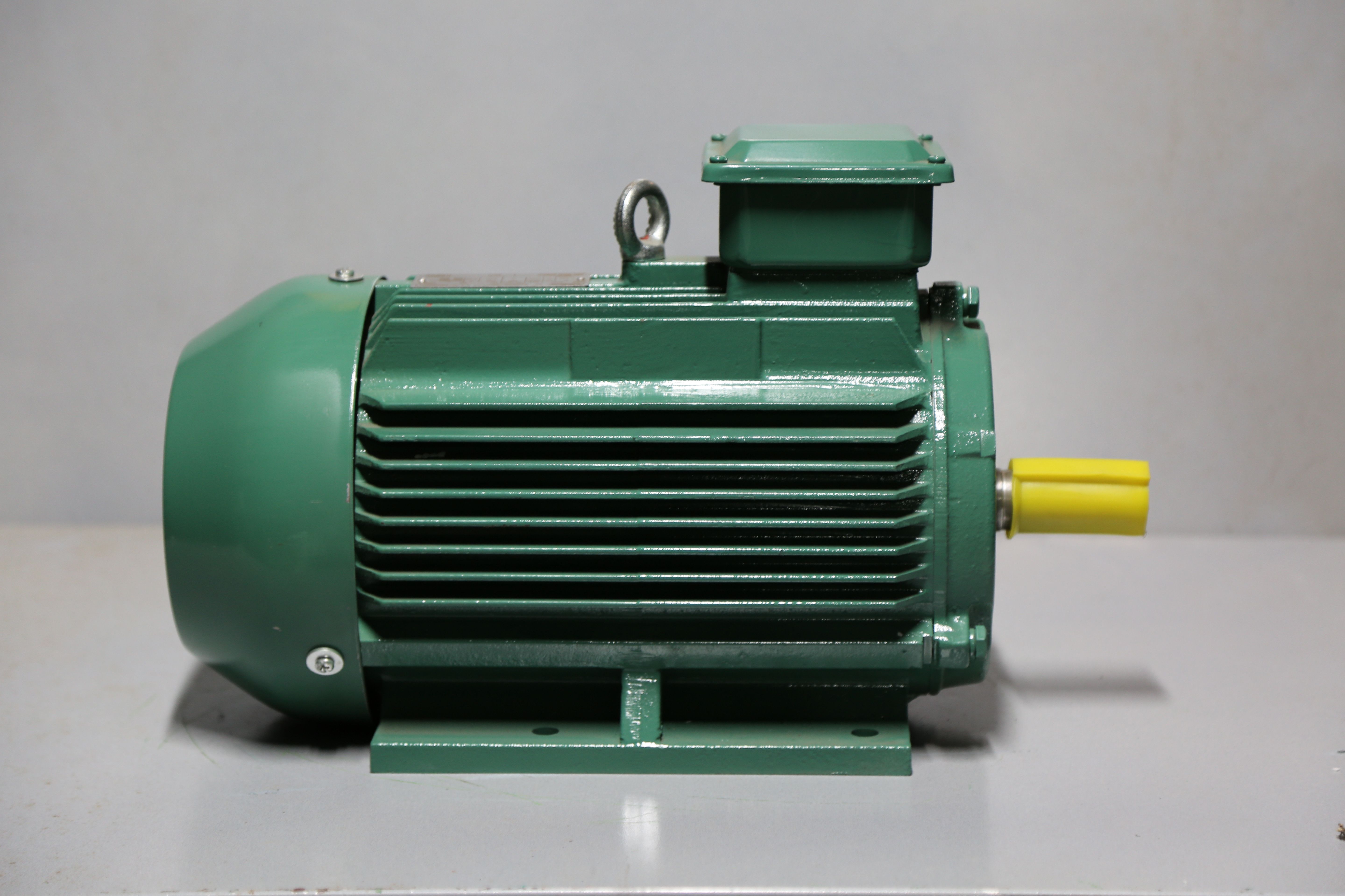 Nidec Leroy Somer - REF-036