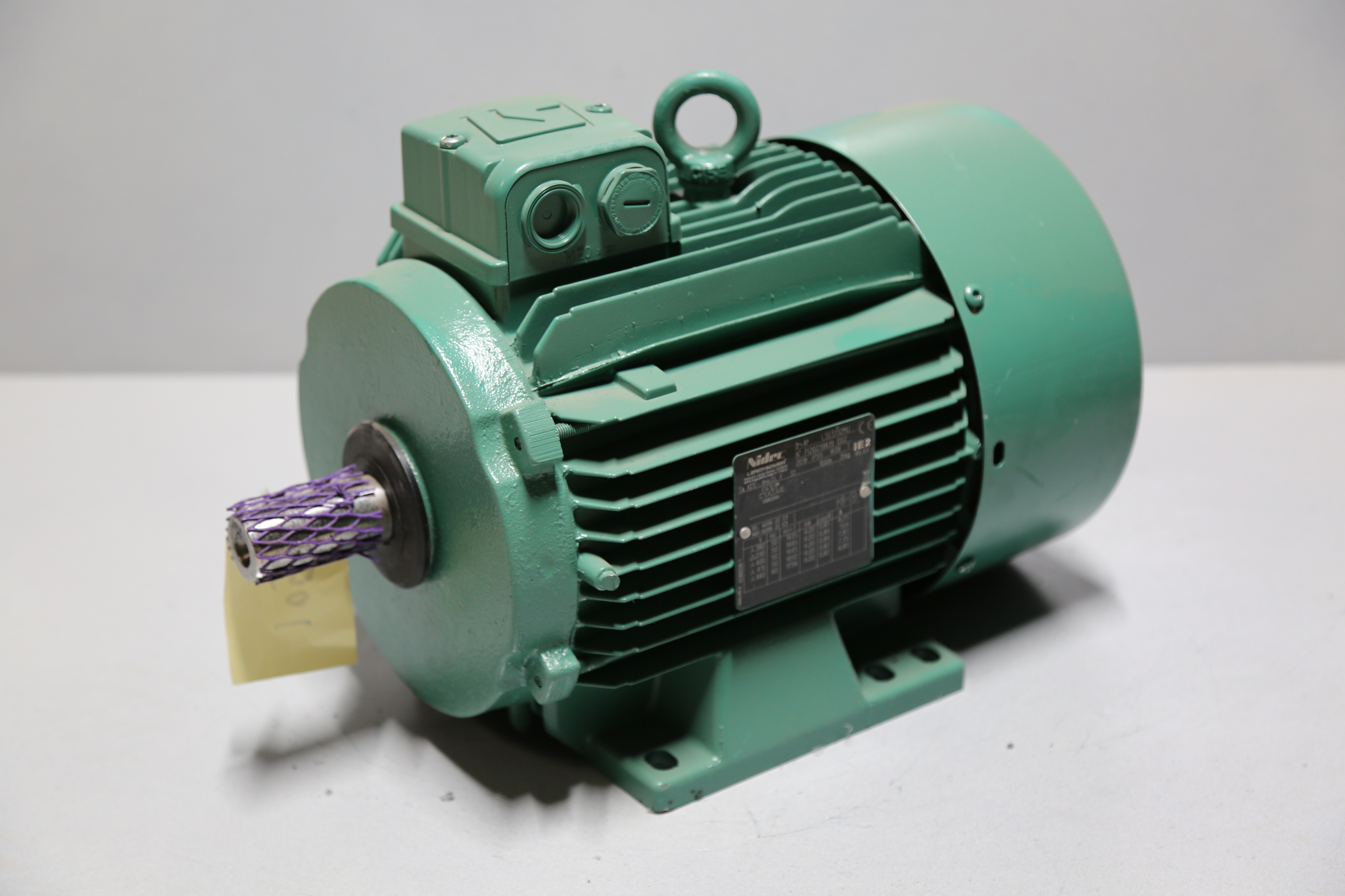 Nidec Leroy Somer - REF-018