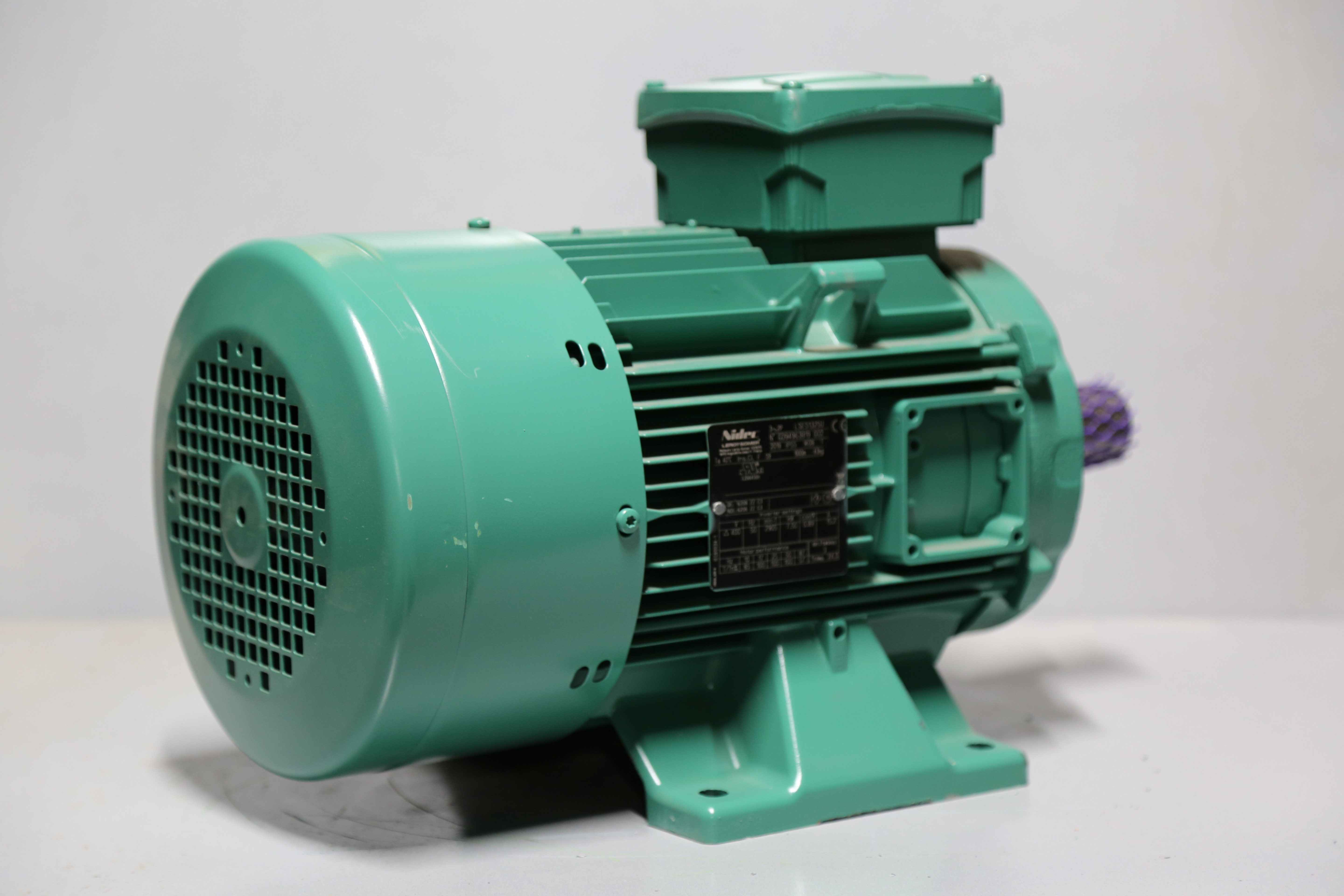 Nidec Leroy Somer - REF-034