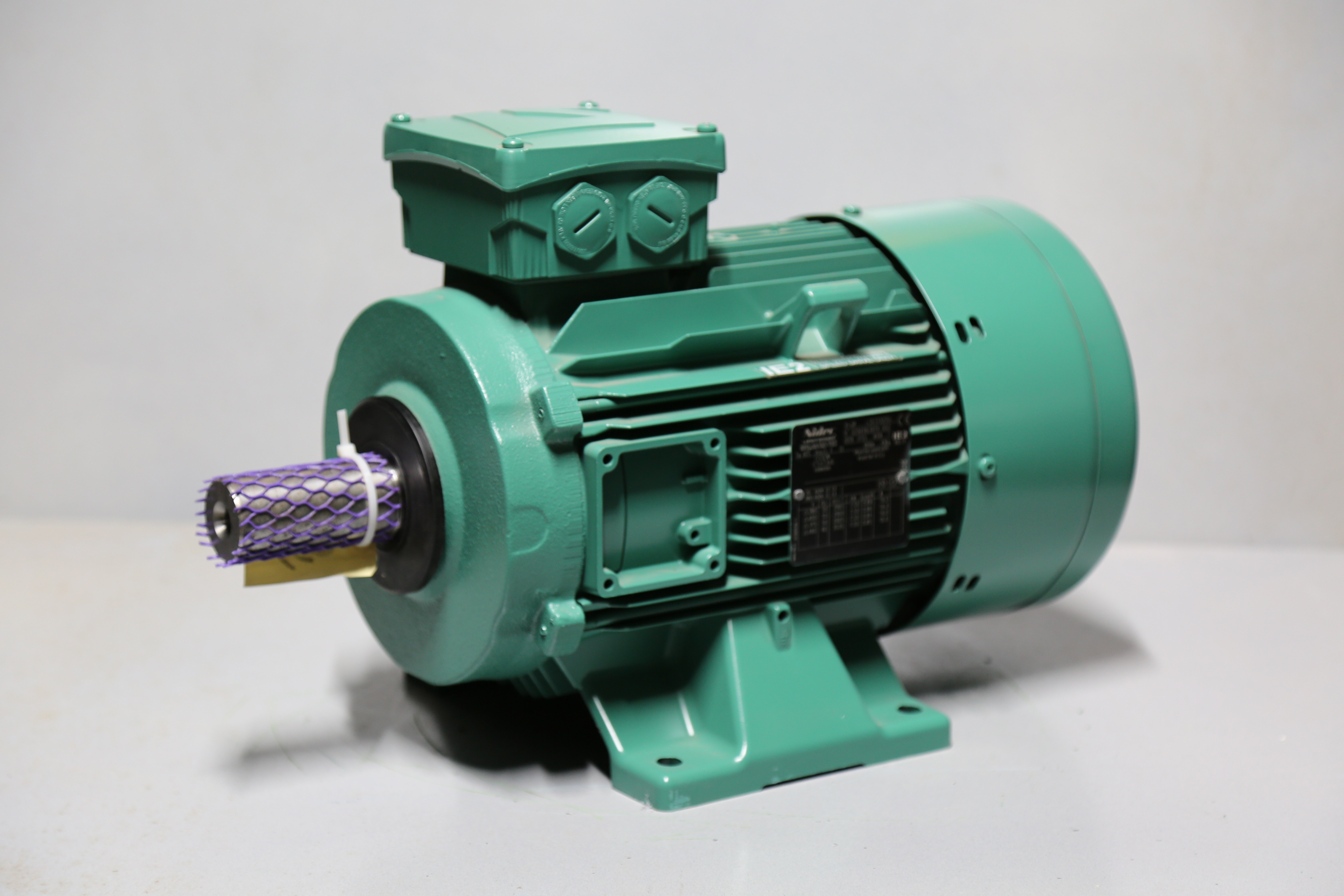Nidec Leroy Somer - REF-034