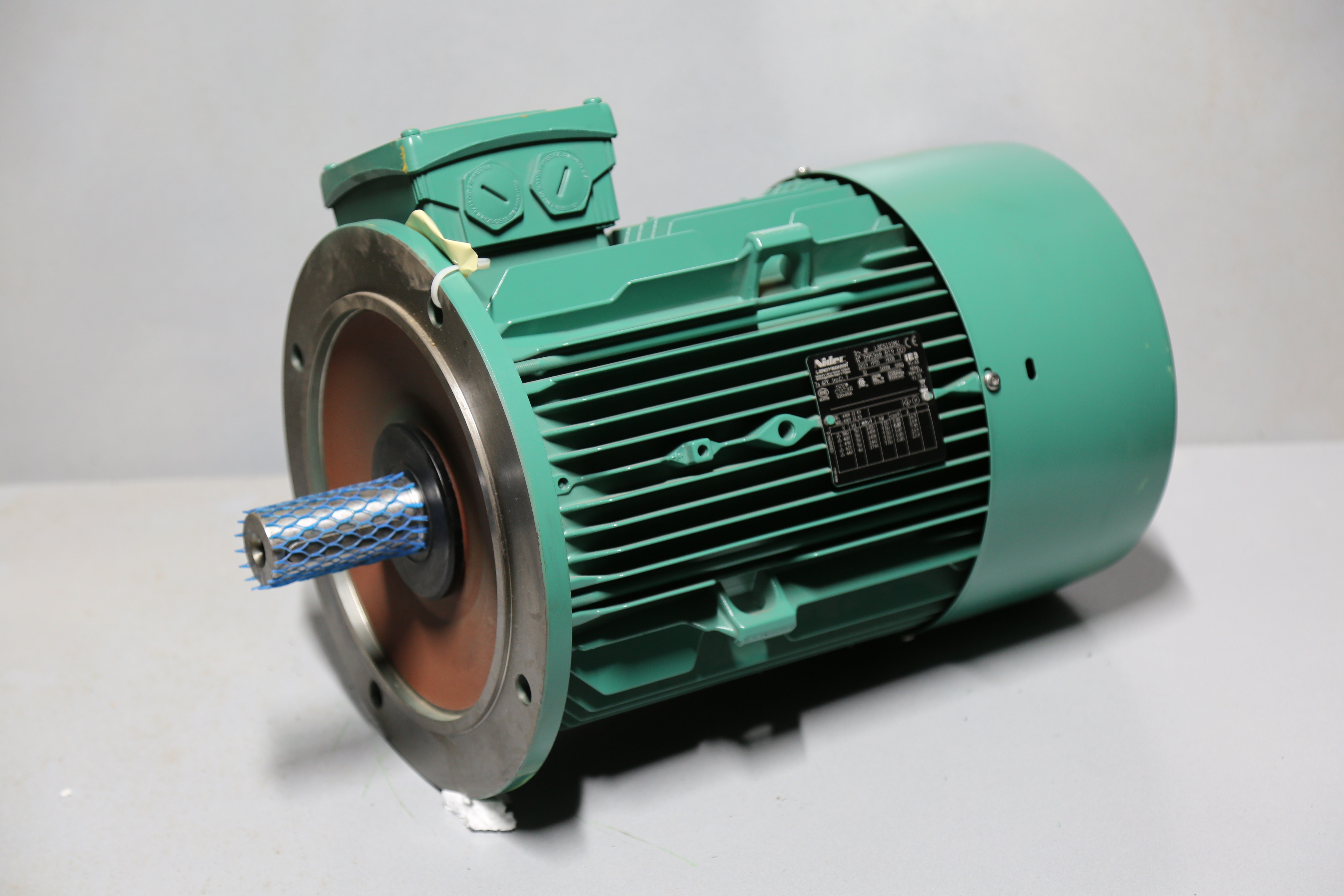 Nidec Leroy Somer - REF-033