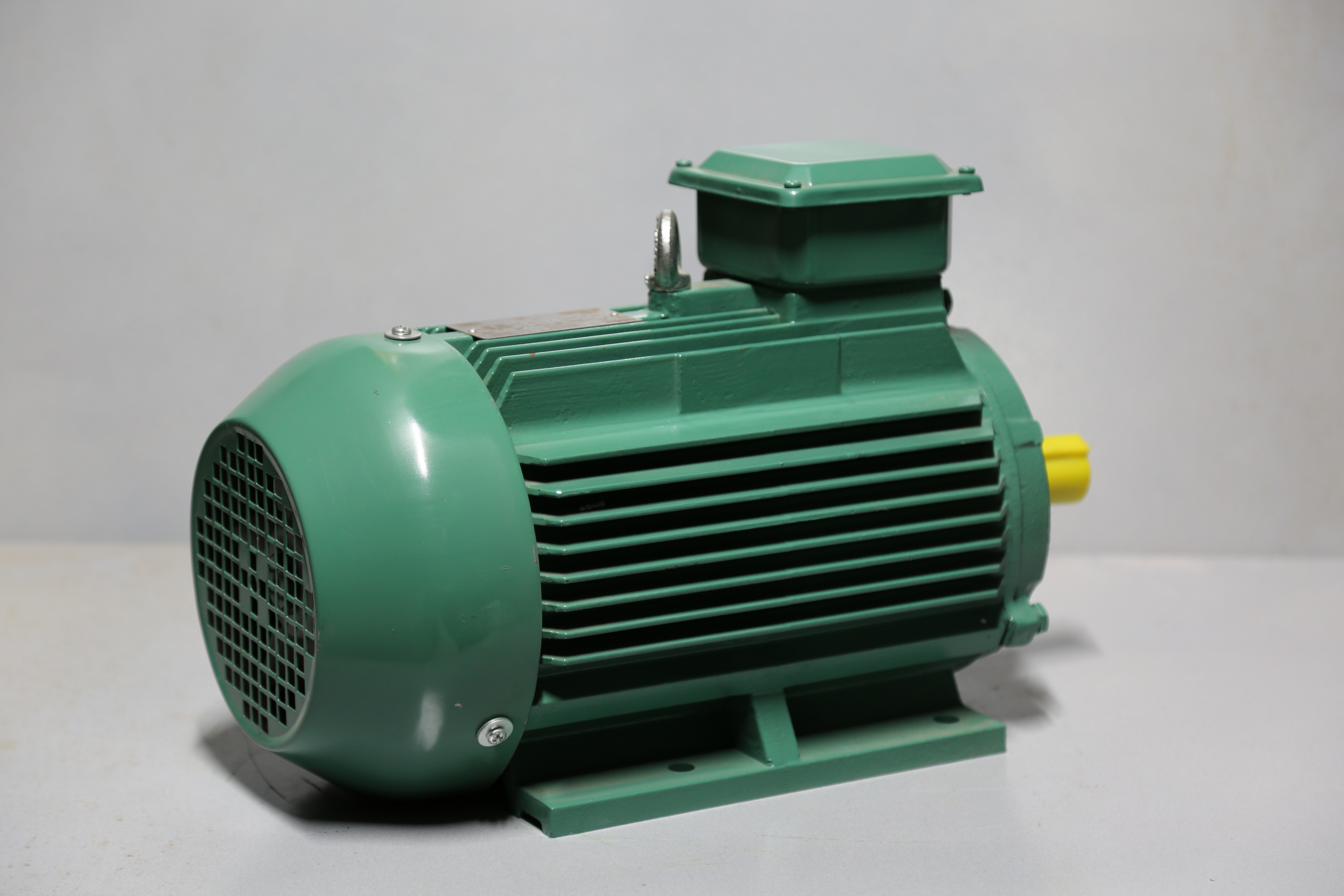 Nidec Leroy Somer - REF-036
