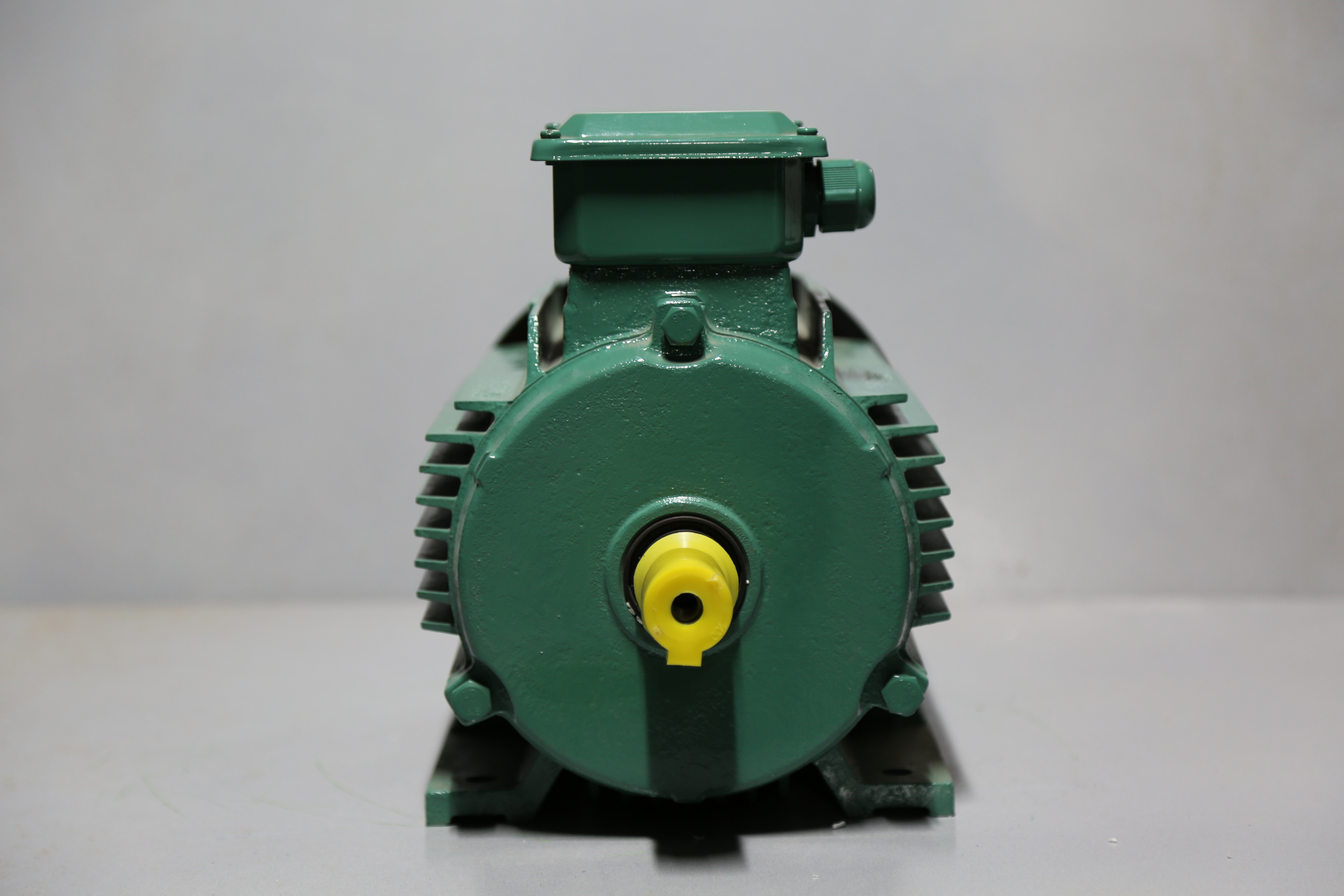 Nidec Leroy Somer - REF-036