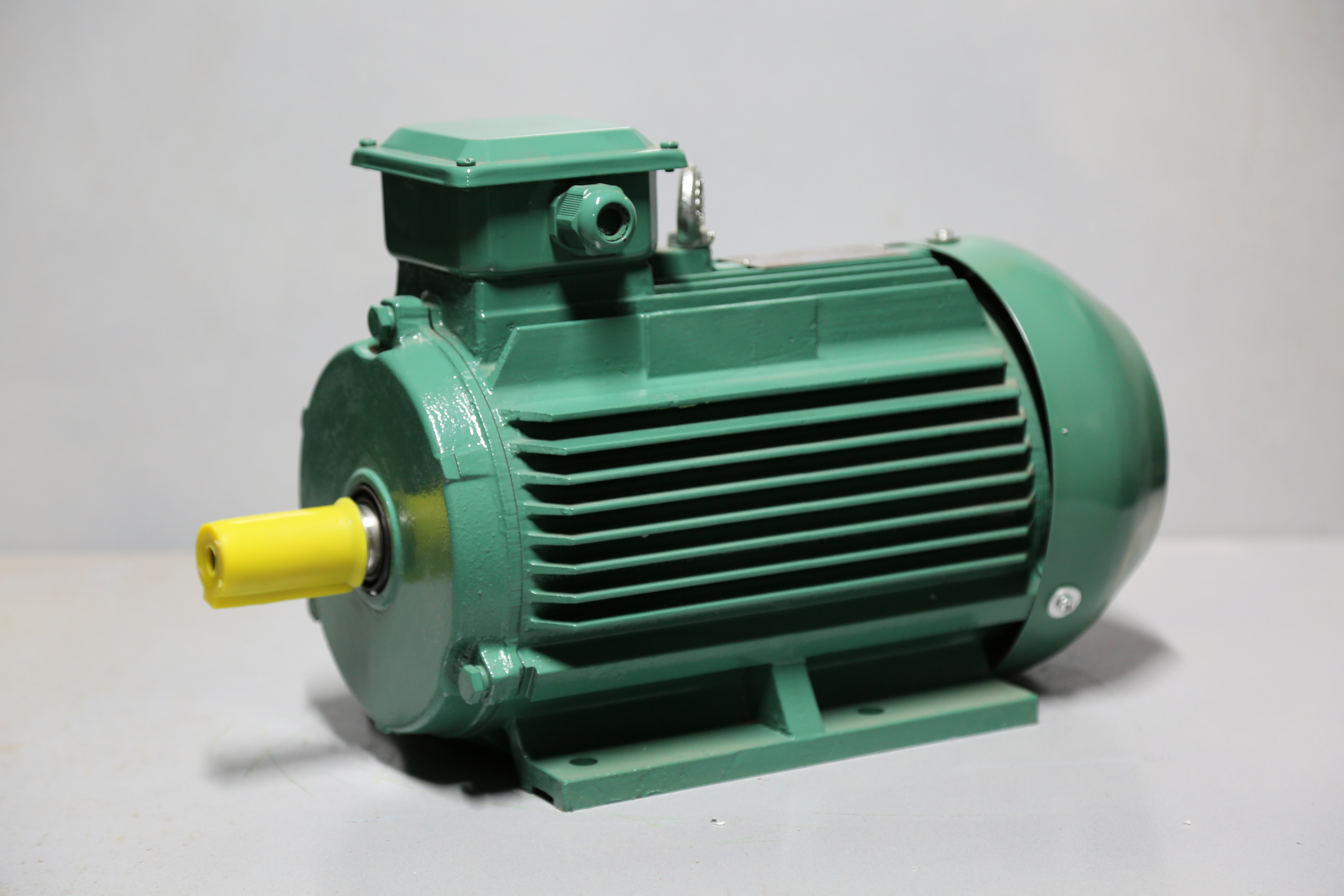 Nidec Leroy Somer - REF-036