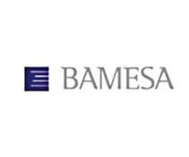 BAMESA